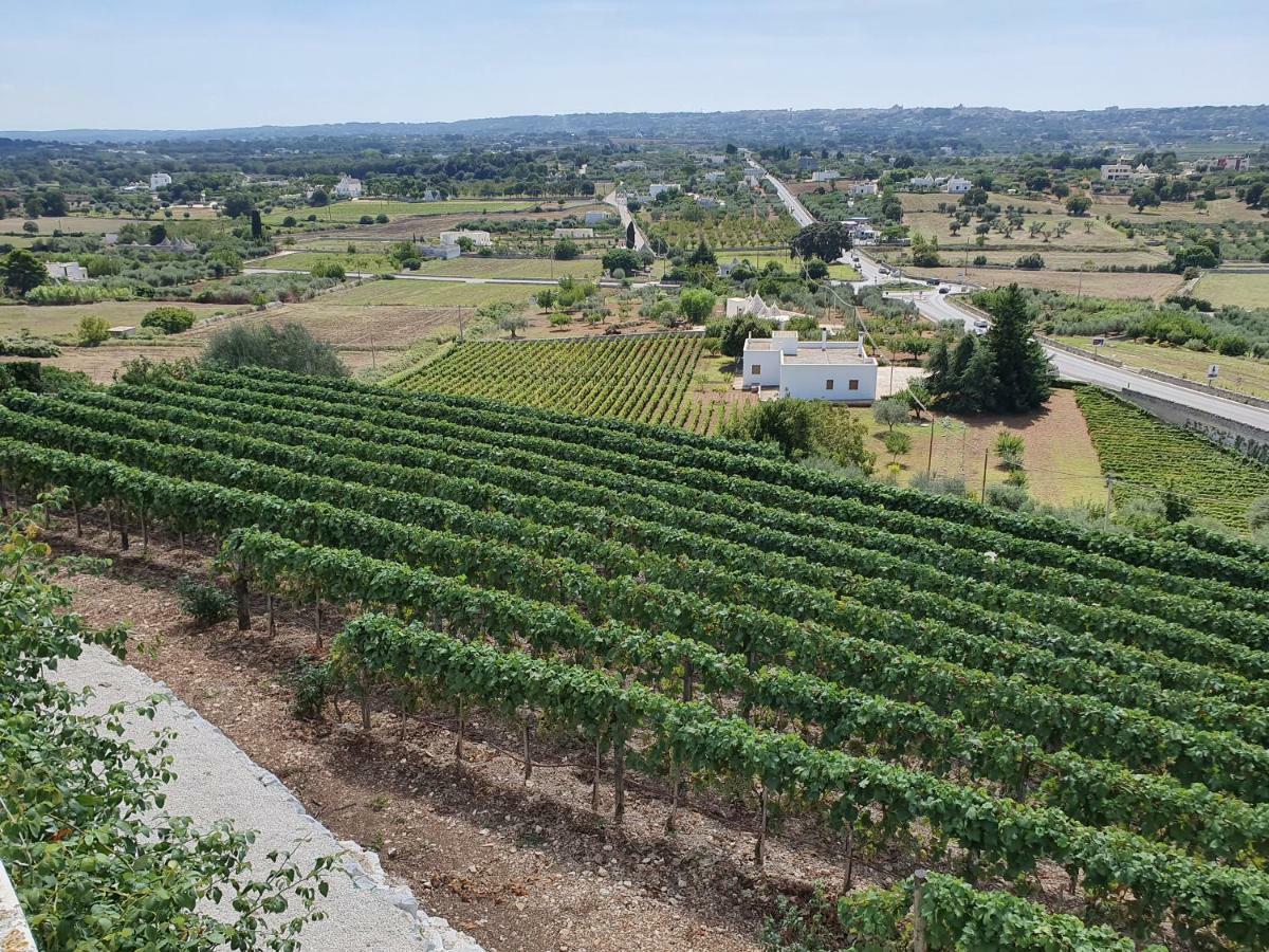 Il Fiore Nel Borgo Villa Locorotondo Eksteriør billede